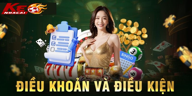 Tổng Quan Về Điều Khoản