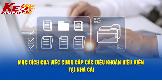 Quyền Quản Lý Của Nền Tảng