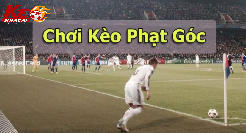 Các Dạng Kèo Phổ Biến