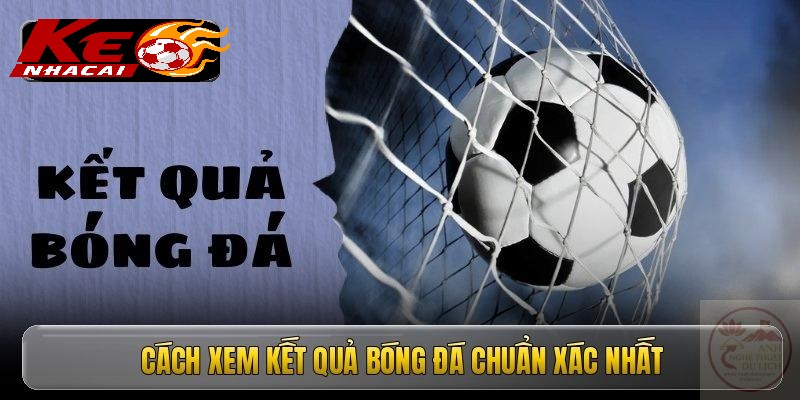 Theo dõi kết quả theo giải đấu