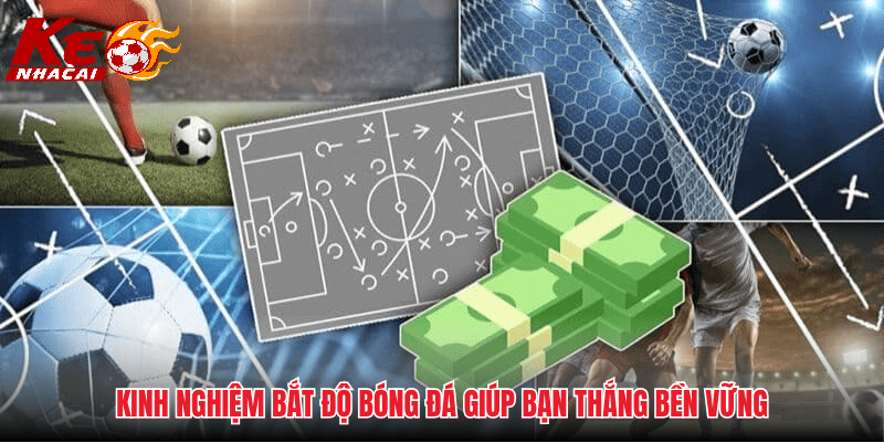 Cập nhật lực lượng trước trận