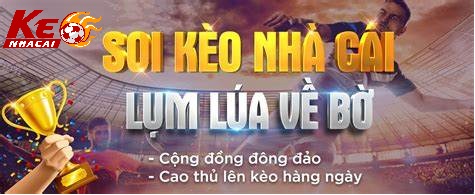 Cách Đọc Bảng Tỷ Lệ Kèo Nhà Cái