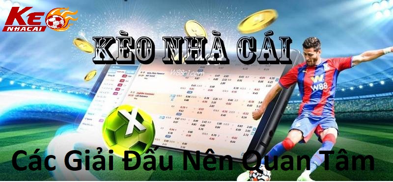 Các giải đấu thường quan tâm