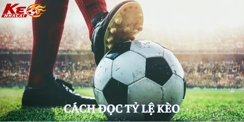 Theo dõi tỷ lệ kèo hôm nay