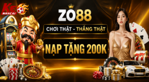 Tổng quan về Zo88